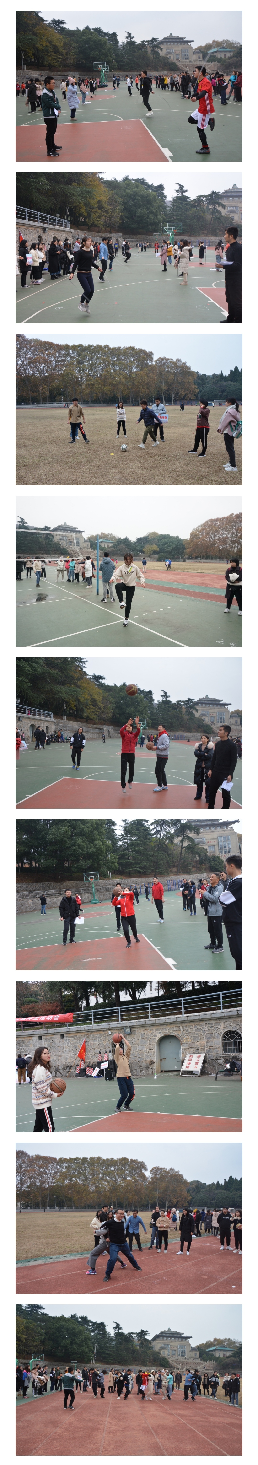 合集.jpg